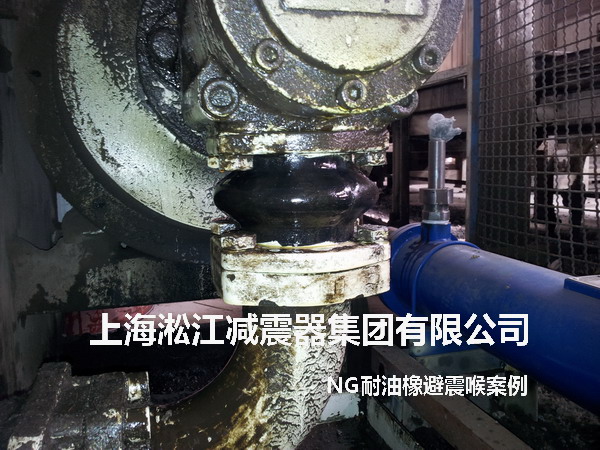 液压泵NG耐油橡胶避震喉，NG耐油橡胶避震喉照片