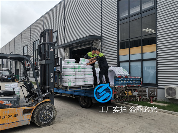 冷冻水泵用DN300/DN200橡胶软连接 冷冻水泵用DN300/DN200橡胶软连接